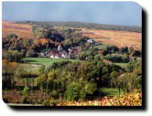 Soyez les bienvenus à La Chapelle Vaupelteigne